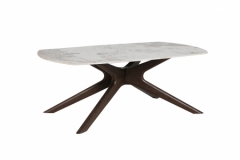 Ariya Coffee Table