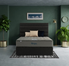 Spinal Life Mattress